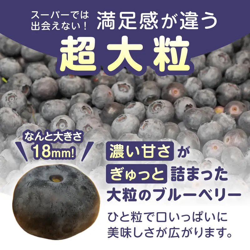 【超大粒】山梨県産（明野産）冷凍　ブルーベリー500g [h290]