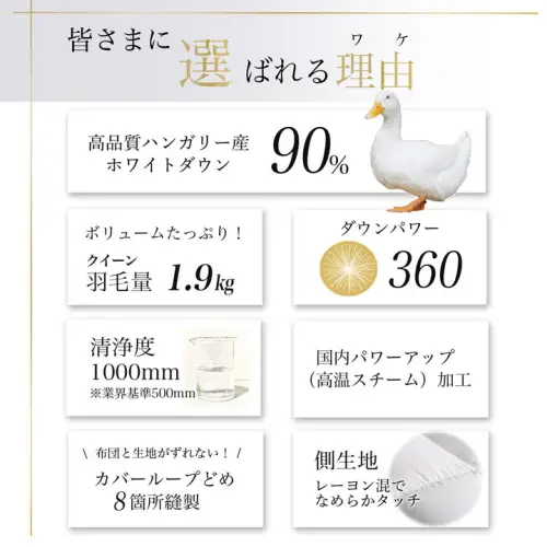 【アンバーホワイト】羽毛布団 クイーンサイズ ハンガリーホワイトダウン90％ 掛布団 アクア
