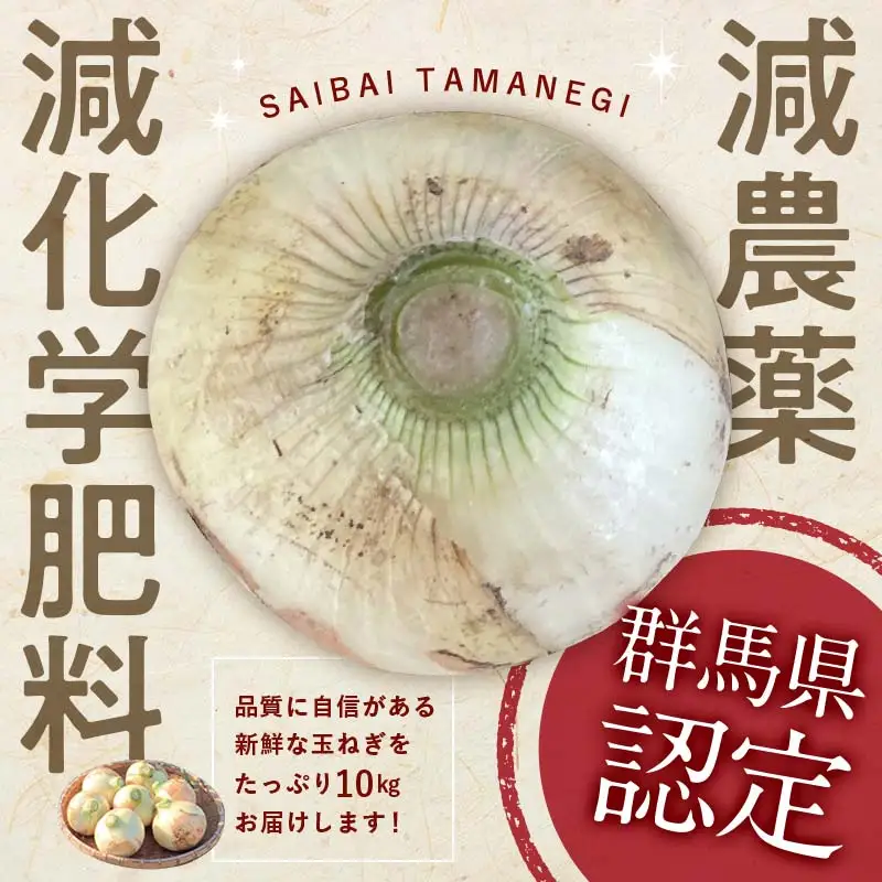 ＜2027年度先行予約＞甘すぎる新鮮玉ねぎ 10kg（2027年6月上旬～6月下旬頃出荷） 減農薬減 化学肥料 生食 たまねぎ 玉ねぎ タマネギ 野菜 食品 F21E-111