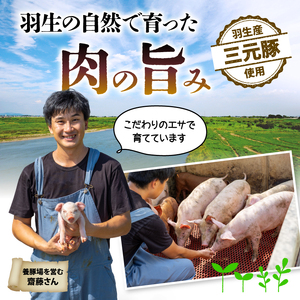 定期便 3回 ハンバーグ 1.2kg 個包装 ギフト お歳暮 大判ハンバーグ