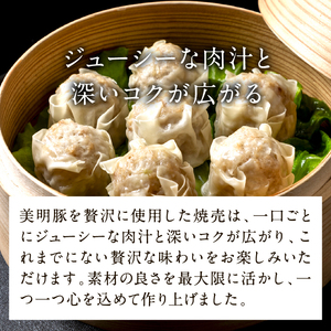 【2026年8月より順次発送】焼売 美明豚「びめいとん」のジューシー焼売2パック（30g×20個×2袋）｜シュウマイ 焼売 美明豚 びめいとん 肉 肉加工品 豚肉 お肉 ジューシー 茨城県 行方市(HJ-1-1)