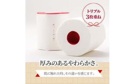 【先行予約】【3回定期便】トイレットペーパー 無香料 ピュアパルプ うさぎ8ロール化粧箱入ギフト×6ケース 2ヵ月毎 全3回 白 赤芯 トリプル ウサギ かわいい 可愛い おしゃれ【望月製紙株式会社】[BQAR024]