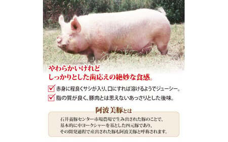 ウインナー パクパクウインナー 1920g