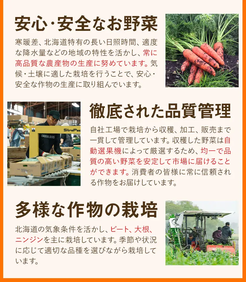 訳あり 甘い人参 浦幌べにかなで 2kg 北海道十勝産