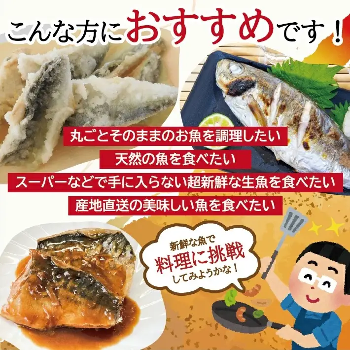 地魚おまかせセット 4～5種類入り 計3.5kg以上 冷蔵便 ※着日指定・離島（沖縄県を含む）への発送不可 東北 山形県 遊佐町 庄内地方 鮮魚 詰合せ 産地直送 新鮮 [1621]