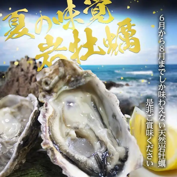 天然岩牡蠣 約3kg 8～12個入 殻付き 山形県遊佐町吹浦産 6月上旬～8月下旬頃お届け 冷蔵便 ※着日指定・離島（沖縄県を含む）発送不可 カキ かき 岩かき お取り寄せ 日本海 東北 庄内 鮮魚 新鮮 [1473]