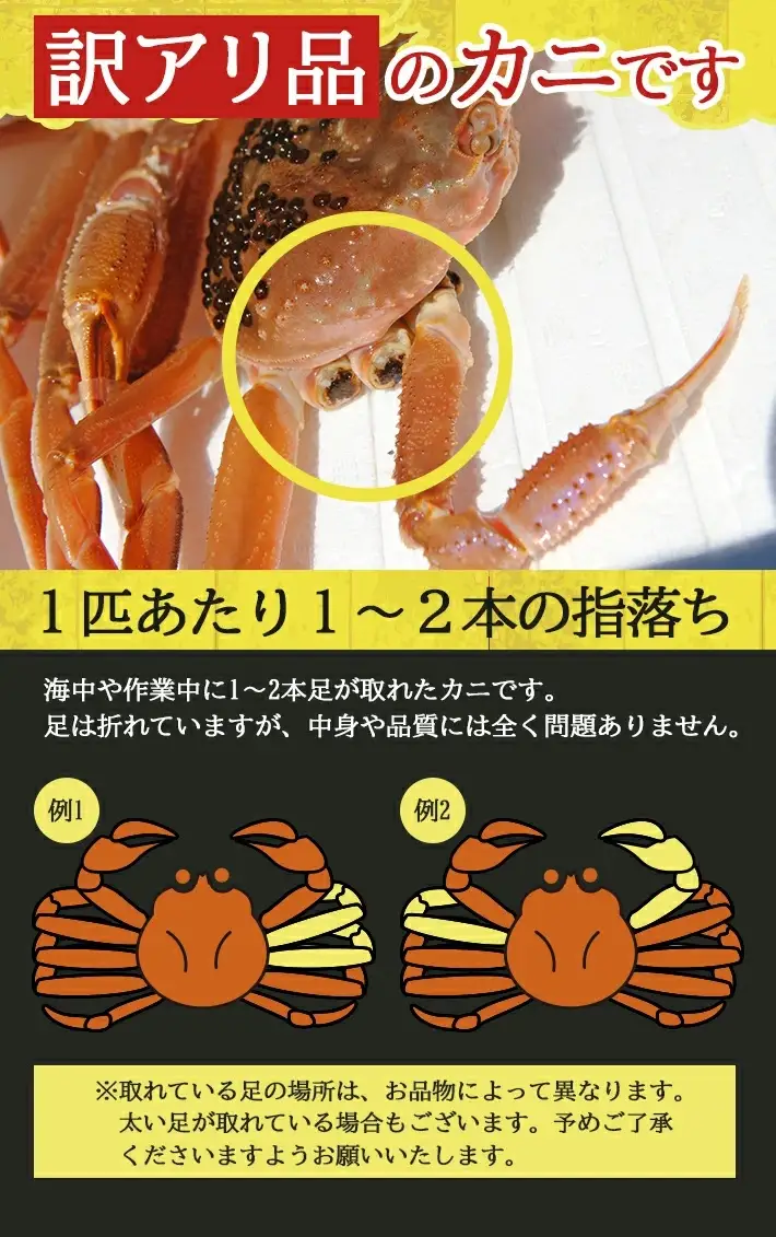 訳あり 生・本ズワイガニ 2匹 計800g程度 1～2本足折れ 遊佐沖 10月中旬～12月下旬頃お届け 冷蔵便 ※着日指定・離島（沖縄県を含む）発送不可 わけあり 訳アリ ワケアリ ワケあり カニ 蟹 かに 海産物 海鮮 新鮮 まるごと 生食 刺身 ボイル 期間限定 [856]