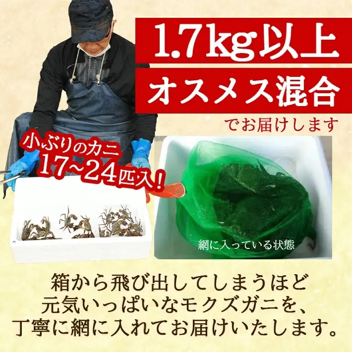 生・天然モクズガニ 1.7kg以上 小ぶりサイズ 17～24匹 オス・メス混合 山形県庄内産 9月中旬～12月上旬頃順次発送 冷蔵便 ※着日指定・離島（沖縄県を含む）発送不可 カニ 蟹 かに 川ガニ 新鮮 鮮魚 まるごと 姿 カニみそ 味噌汁 蒸し蟹 期間限定 [972]