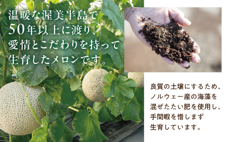 《先行予約》特選マスクメロン 2玉 メロン マルタケ農園