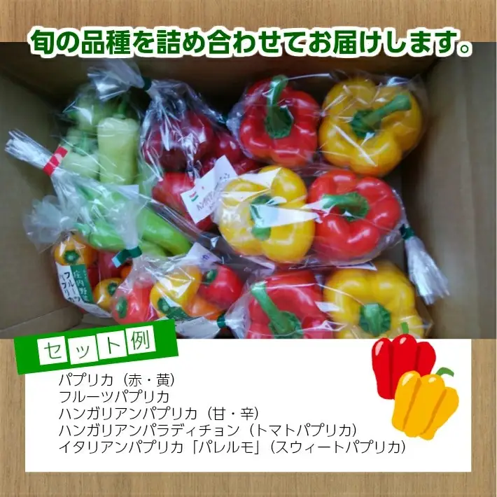 パプリカアラカルト 2kg 山形県遊佐産 2026年7月上旬～11月下旬頃お届け ※着日指定不可 野菜 パプリカ 東北 山形県 遊佐町 庄内 夏 秋 [1220]
