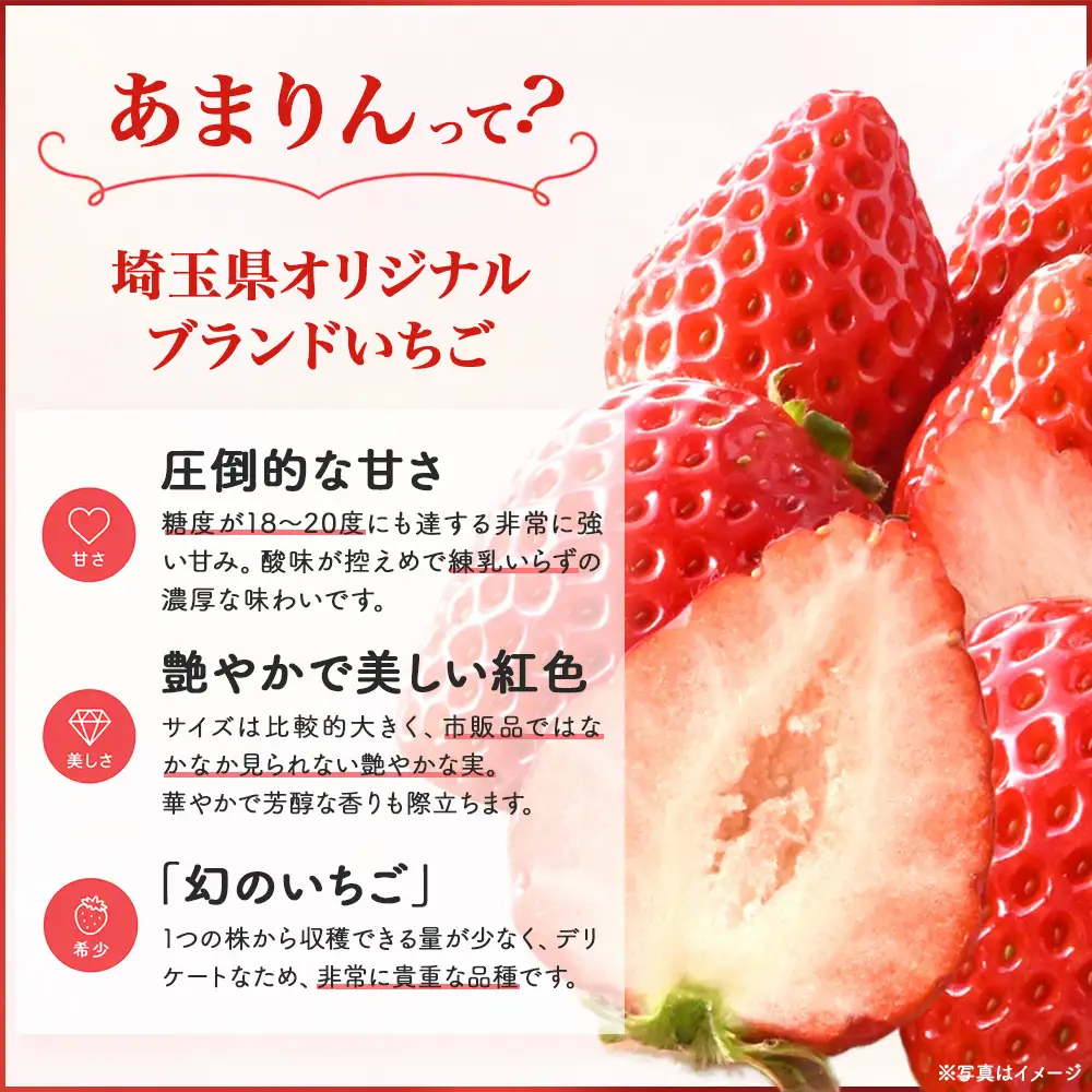＜先行予約＞吉田さんちの完熟苺「あまりん」　500g　【11218-0846】