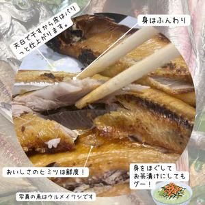 M216 冷凍 天日干し 手作り干物詰め合わせ地魚セット 無添加土佐干物 期間限定品