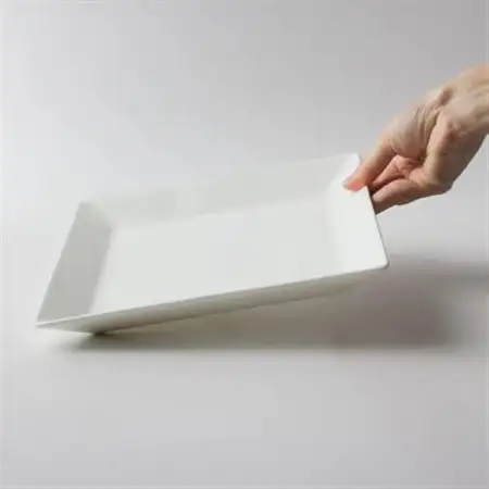 NIKKOの22.5cm角皿2枚セット「エクスクイジット」《ニッコー食器》(11700-FF11)_雑貨・日用品 皿・椀 食器 _【1551774】