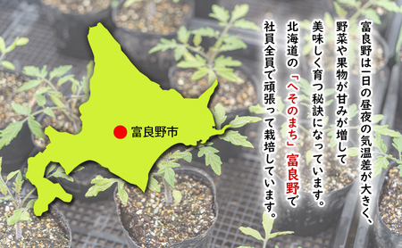 じゃがいも 富良野産 男爵 LM混合 じゃがいも【計4kg】