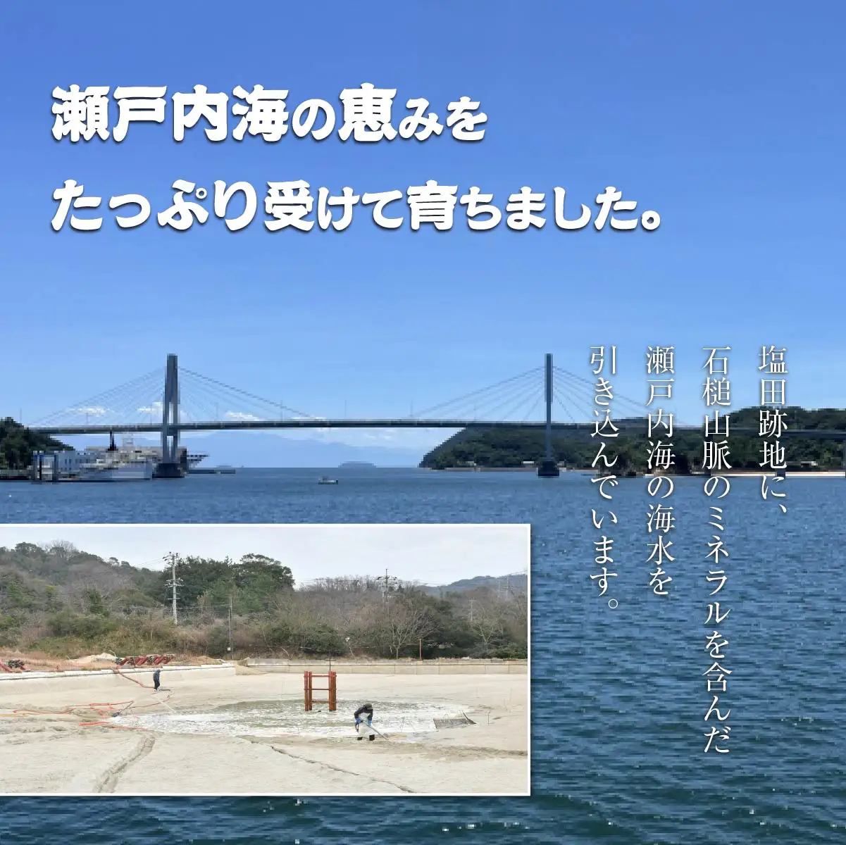 車海老 急速冷凍 活きな 車えび【有頭5～7尾(約170g)×2袋セット】【配送不可地域：離島】