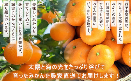 ＜明浜産 温州みかん 約5kg 贈答用＞ 愛媛みかん 農家直送 果物 フルーツ 柑橘 ミカン 蜜柑 S～Lサイズ 贈答 国産 濱元柑橘農園 愛媛県 西予市【常温】『2025年11月下旬から2026年1月中旬までに順次出荷予定』AHK0001