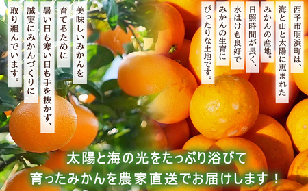 ＜明浜産 温州みかん 約5kg 訳あり＞ 愛媛みかん 農家直送 家庭用 自宅用 ワケアリ 果物 フルーツ 柑橘 ミカン 蜜柑 S～L 濱元柑橘農園 西予市【常温】『2025年11月下旬から2026年1月中旬までに順次出荷予定』AHK0002
