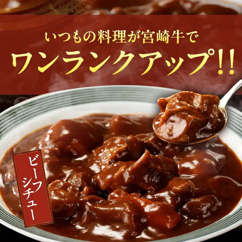 宮崎牛角切り肉(煮込み用)計1kg 肉 牛 牛肉 おかず 国産_T009-0295