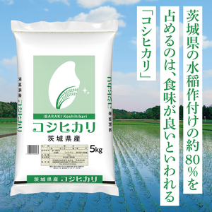 【茨城県共通返礼品】令和7年産 茨城県産 コシヒカリ5kg【お米 米 こしひかり ごはん 茨城県】（03-48-1）