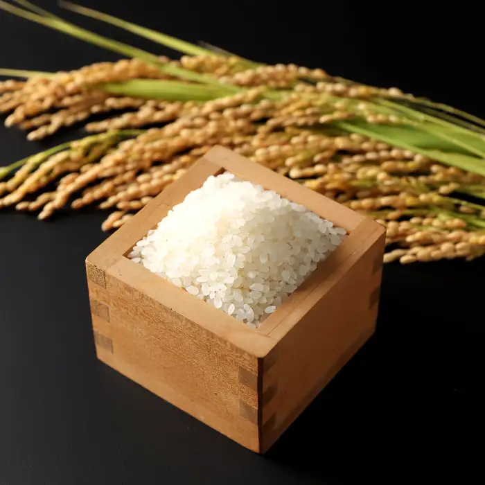 島根県飯南町産 こしひかり（2kg×4袋）【 米 新米 コシヒカリ  ブランド米 小分け 便利 贈答用 プレゼント 精米 玄米 選択可能 】
