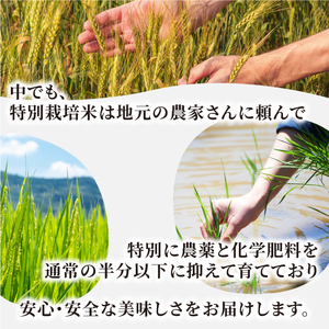 MR-16　減農薬・減化学肥料　特別栽培米こしひかり頒布会（白米5kg×2回）