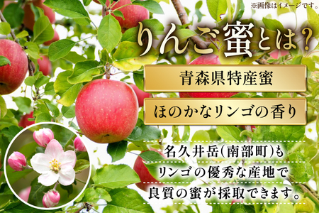 はちみつ 国産 石蔵のはちみつ りんごはちみつ 450g 2本 セット