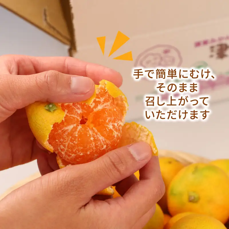 訳あり温室みかん 2kg ハマみかん 温室 B010-075012