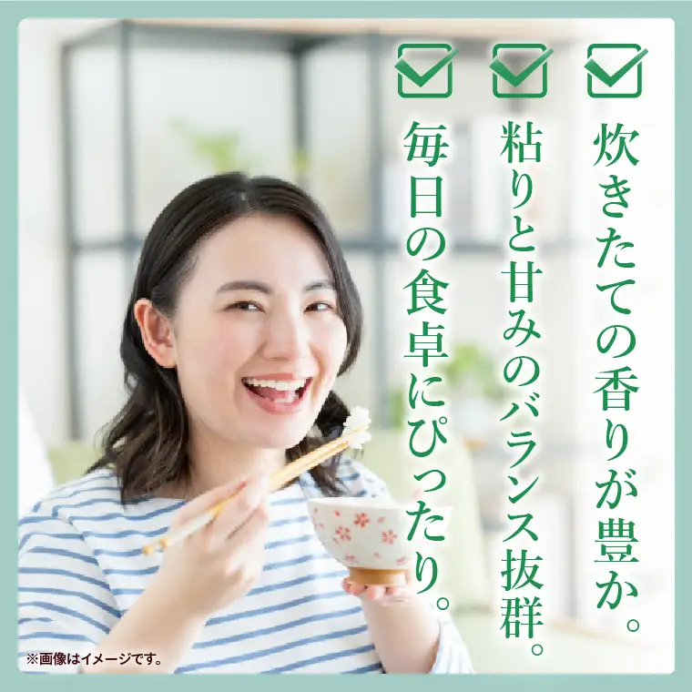 令和7年産 茨城県産 コシヒカリ5kg【お米 米 コメ こめ こしひかり精米 北茨城市 茨城県】(AL253)