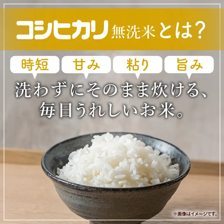 令和7年産 茨城県産  無洗米コシヒカリ15kg（5kg×3袋）【お米 米 コメ こめ こしひかり 無洗米 60000円以内】(AL258)