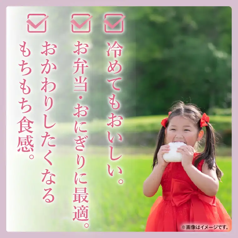 【人気2銘柄食べ比べ】令和7年産 茨城県産 ミルキークイーン・ふくまる　5kg×各1袋（計10kg）【お米 米 コメ こめ たべくらべ 34000円以内】(AL272)