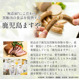a991 美ねら水(みねらすい)・野生植物抽出ミネラル含有溶液(1本・100ml)【鹿児島ますや】 姶良市 みねらる ミネラル 鮮度維持 栄養補給 健康補助 健康食品 栄養 健康