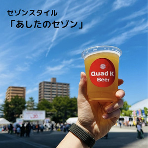 ビール クラフトビール セゾン 6本