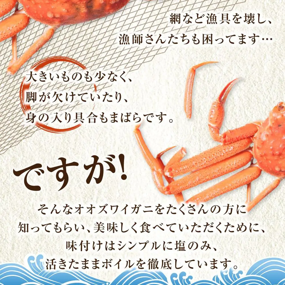 「訳あり」オオズワイガニボイル 6尾 合計約2.7kg カニ カニ