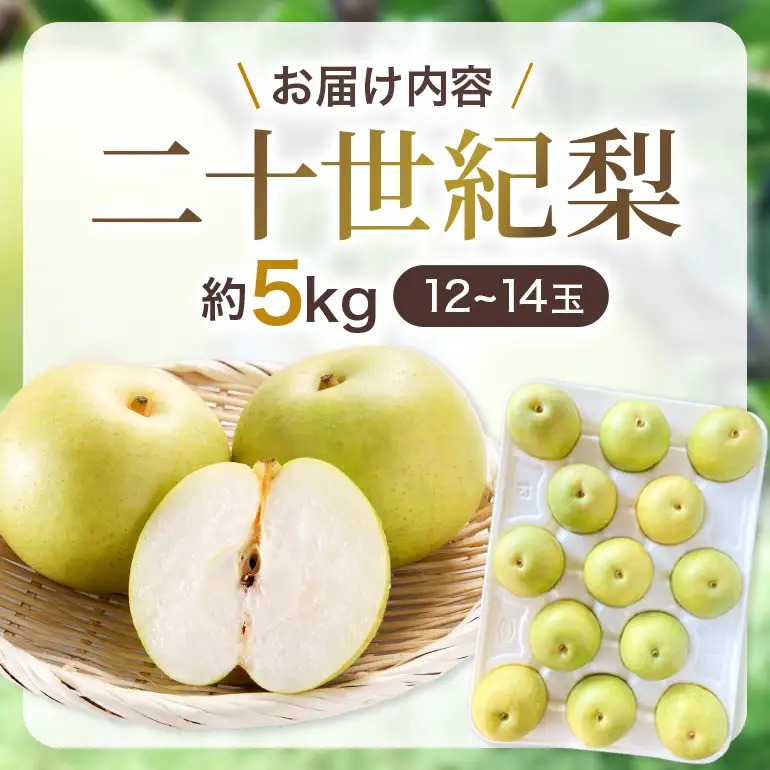 梨 2026年 先行予約 二十世紀梨 5kg 12～14玉 果物 なし 広島県 安芸高田市 A74-001