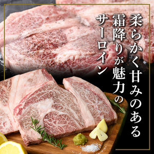 isa640 【定期便2回】黒毛和牛ステーキ定期便(合計1.7kg) 真空包装 真空パック リブロース サーロイン ステーキ 牛 うし 牛肉 アウトドア 食べ比べ BBQ 冷凍 【サンキョーミート株式会社】