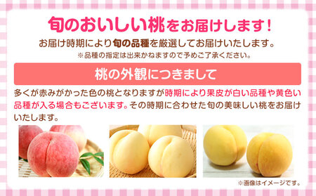 【先行予約】桃 紀の川市産 約1kg(3玉) 紀農人株式会社《2027年6月下旬-7月下旬頃出荷》和歌山県 紀の川市 果物 フルーツ 桃 もも モモ 旬