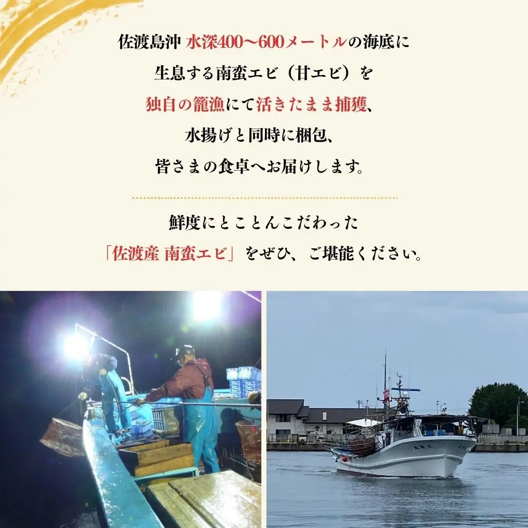 甘エビ 生鮮 400g | 新潟県 佐渡市 南蛮エビ