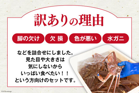 【期間限定発送】 【漁師厳選】 訳あり 本ズワイガニ ボイル済 2～4杯 計1kg前後