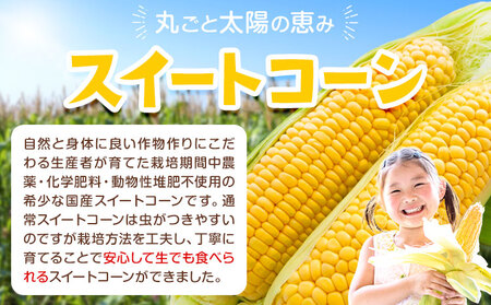 スイートコーン 7～8本 350g前後 わらく農園《2027年6月上旬-6月末頃出荷》