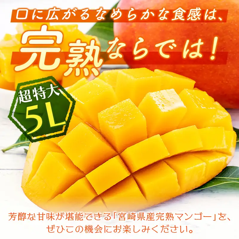 2027年出荷 宮崎 完熟マンゴー5L×1玉 650g以上 C358-27