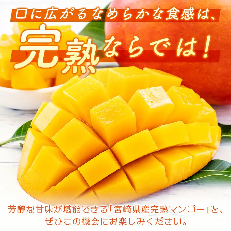 2027年出荷 宮崎 完熟マンゴー4L×2玉 計1kg以上 C357-27