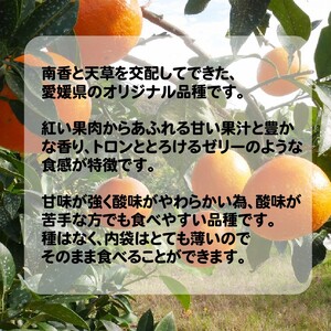 【2026年12月中旬～発送】【先行予約】訳あり 愛媛 まどんな 3kg
