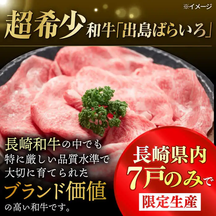 【全12回定期便】極上 シャトーブリアン 長崎和牛 出島ばらいろ 毎月計400g以上（約200g×2枚）【肉のマルシン】 ステーキ ヒレ ヒレステーキ ヒレ肉 フィレ[FG47]