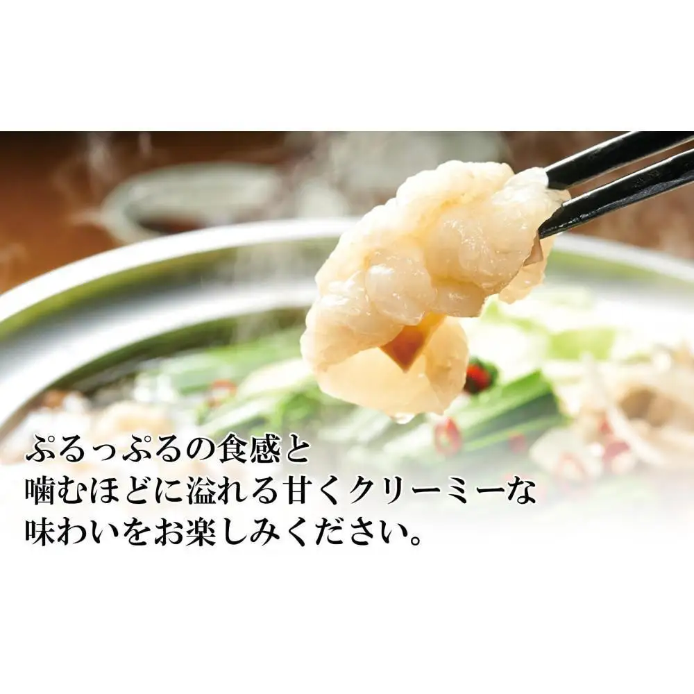 やまや 博多 もつ鍋セット(あごだし醤油味)3～4人前×3個セット ｜もつ鍋