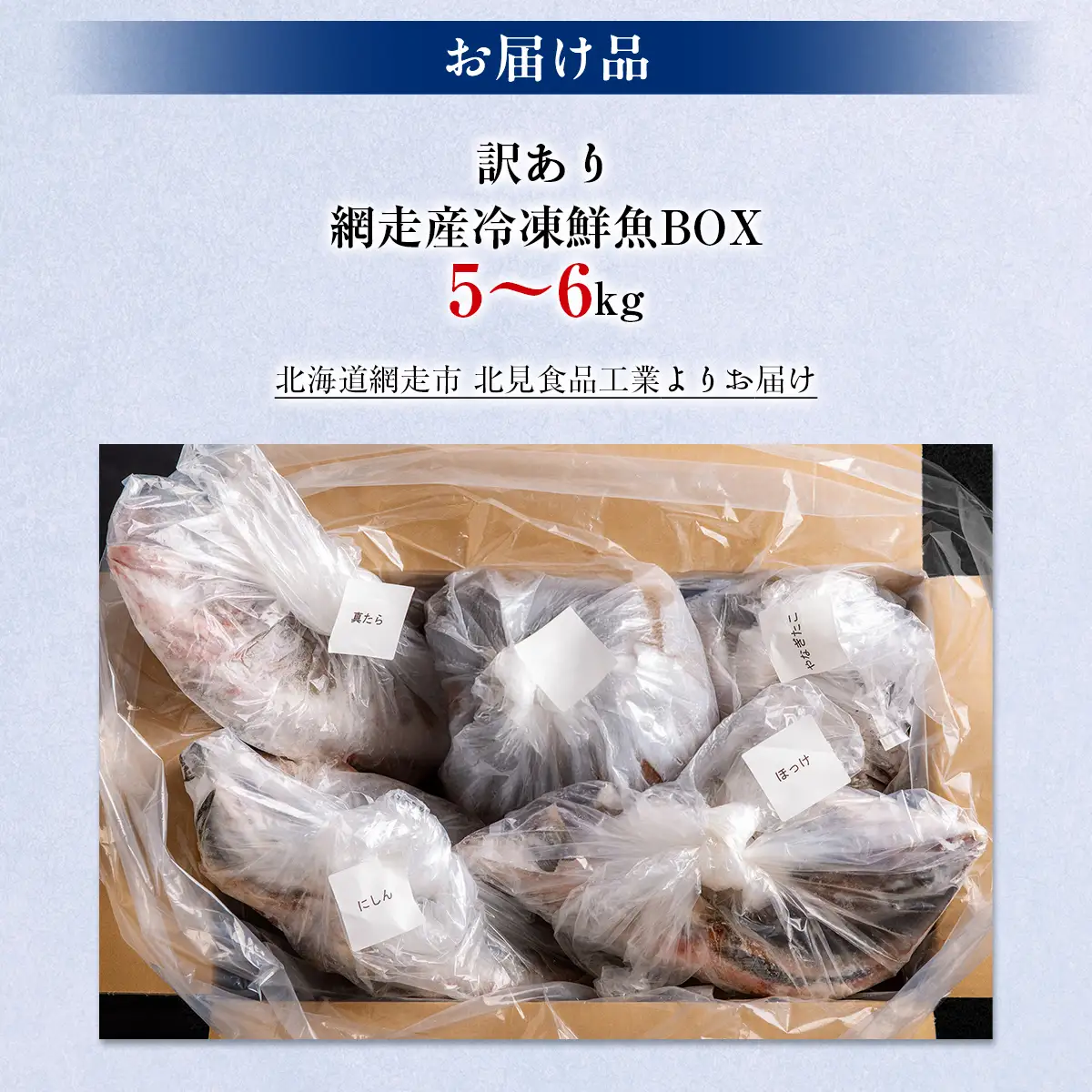 【先行予約】【訳あり】網走産冷凍鮮魚BOX～未利用魚の有効活用（漁業生産者応援企画）～【令和8年4月より順次発送】 ABAE011
