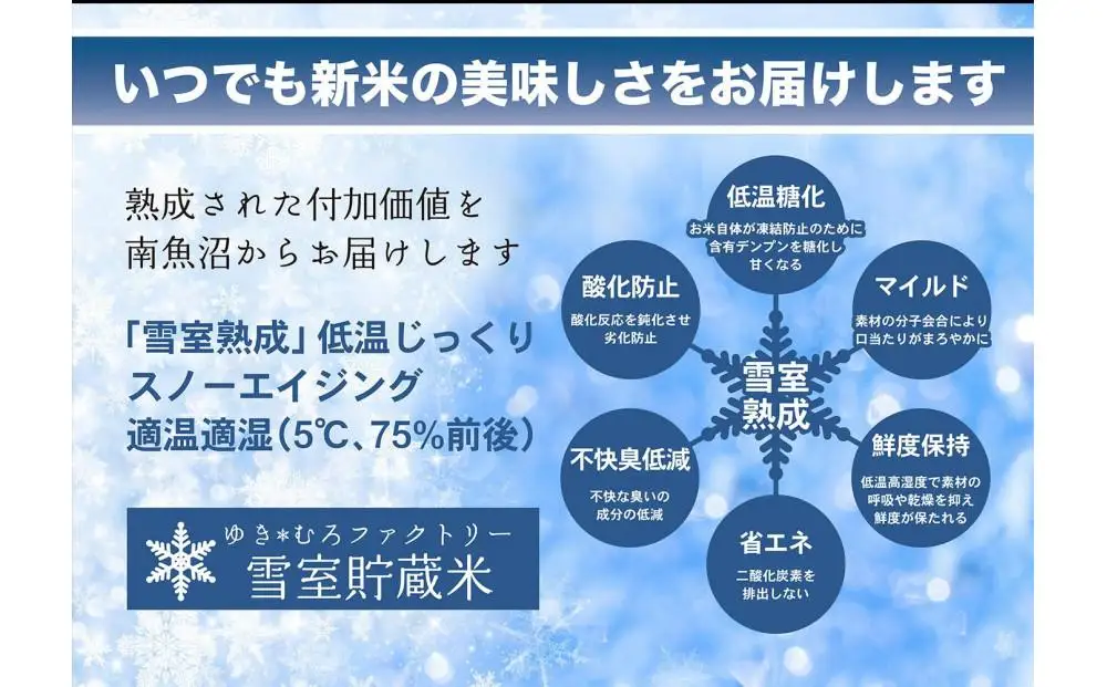 2026年10月下旬より順次発送【令和８年 新米】新之助【定期便2kg×12回】雪室貯蔵米 南魚沼産　|   新之助