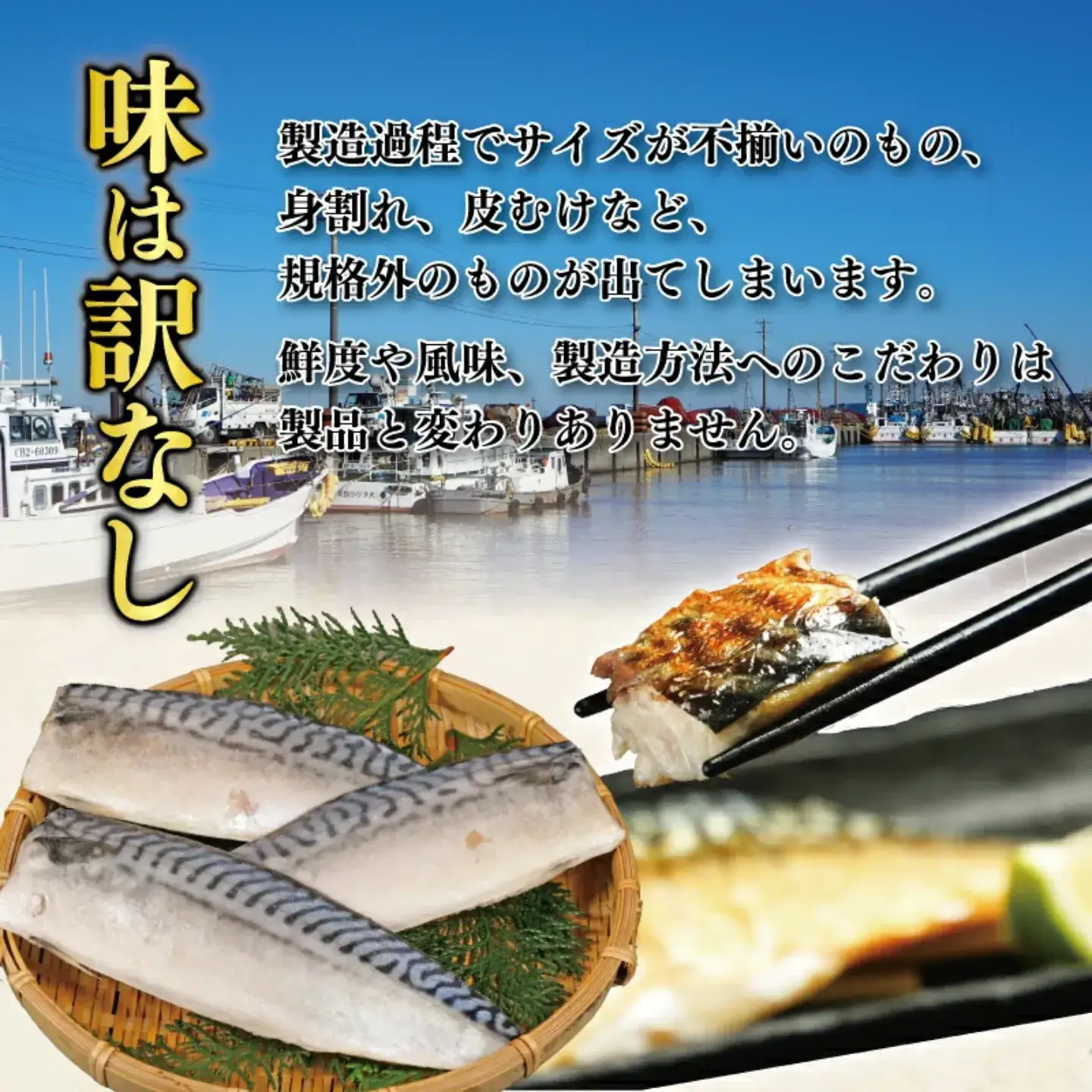 訳あり 塩鯖 500g 鯖