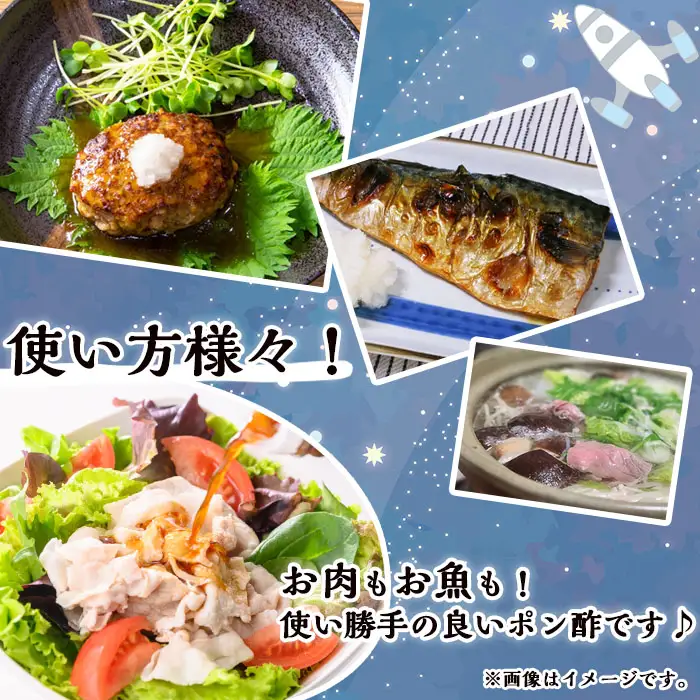 n305 橙 ポン酢 200ml × 2本 調味料 だいだい 【スカイショップ銀河】