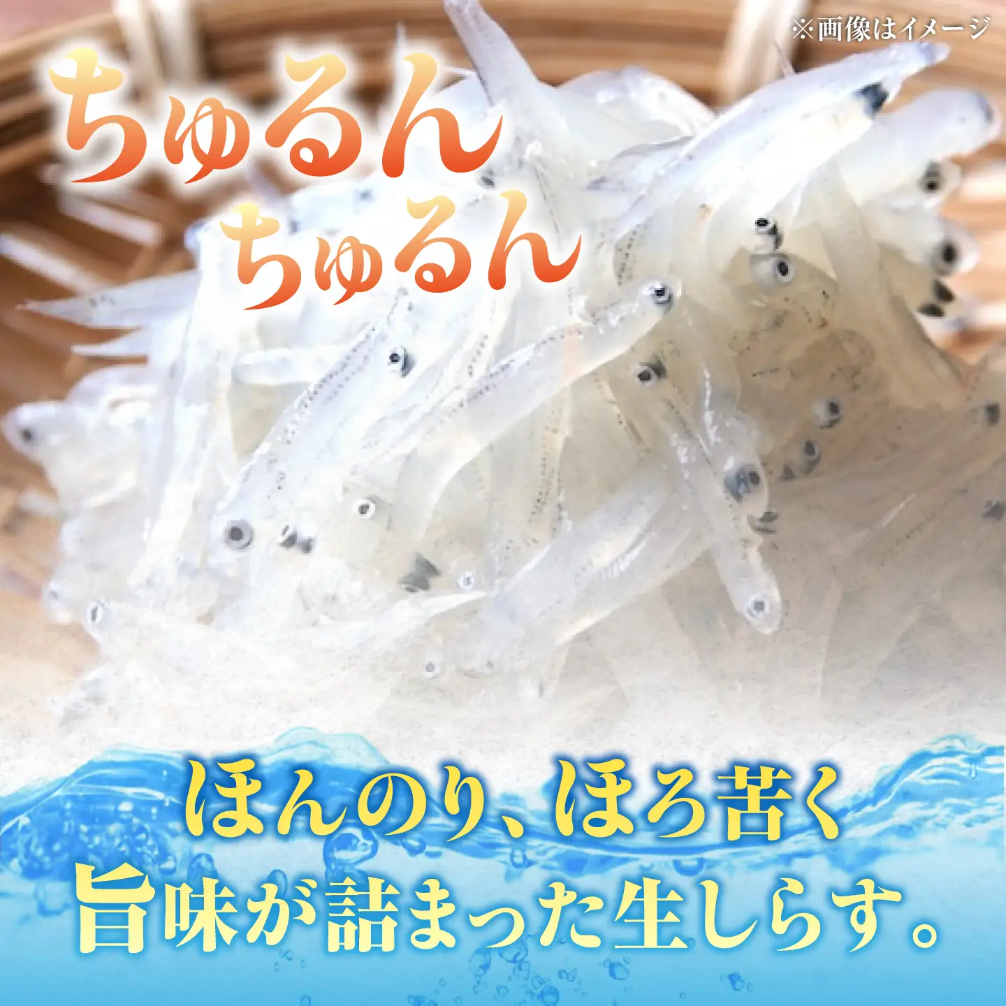 冷凍生しらす50g×15個 しらす[XCN003]
