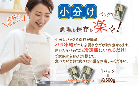 【訳あり】 塩さば 切身 約1kg さば